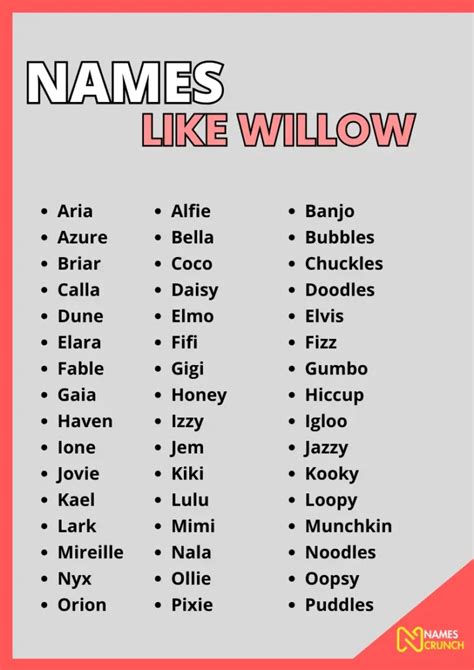 names that are similar to willow